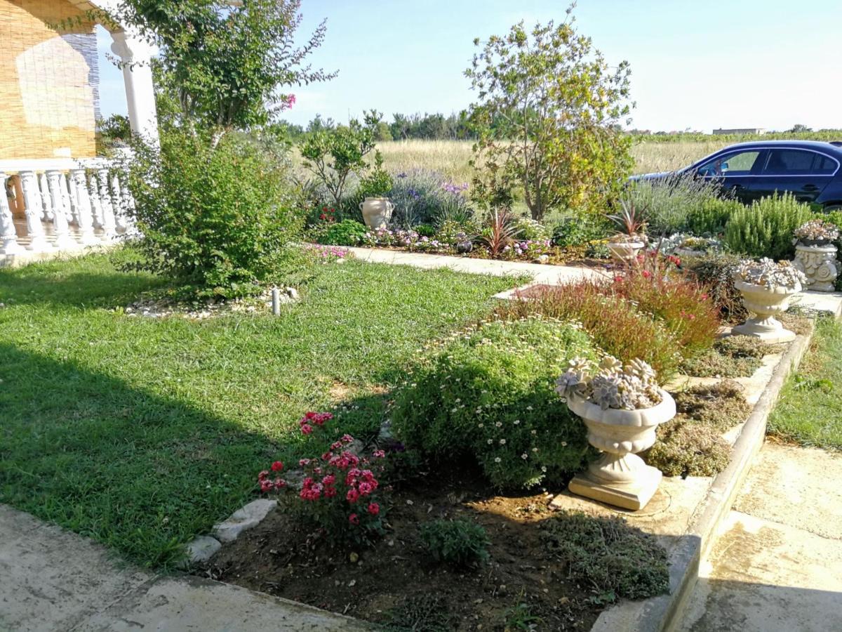Villa Flora Maris Apartments Privlaka  Esterno foto